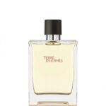 Terre D'Hermes Eau de Toilette